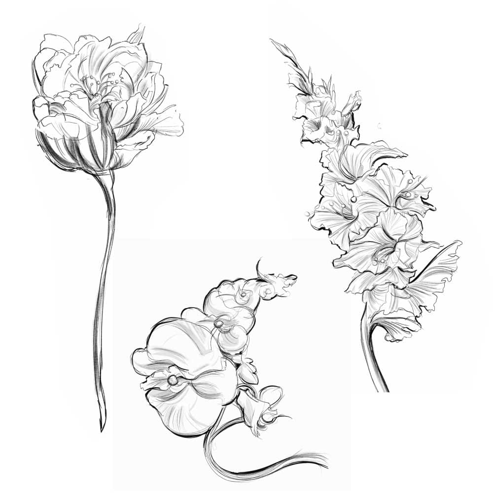 Sketch of flowers