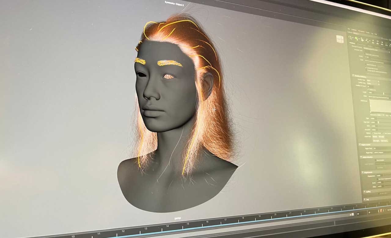 CGI development